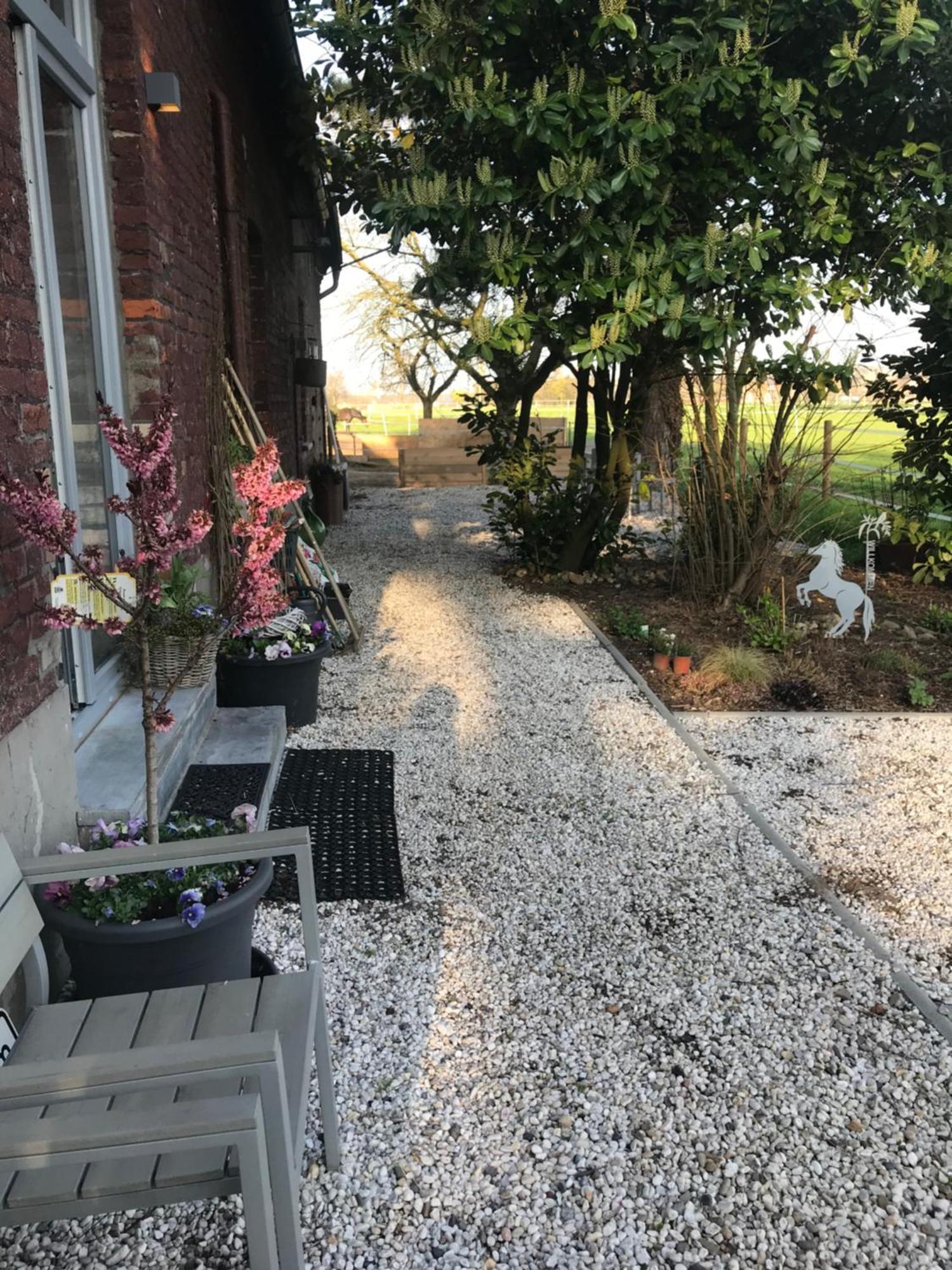 Ks Kotten Bed And Breakfast Rees Esterno foto